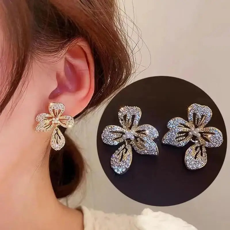 Brincos Femininos de Prata 925 com Coração de Cristal – Moda